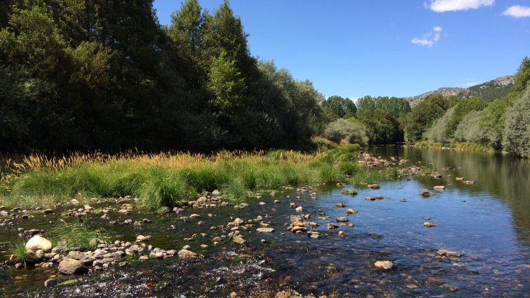 Innovación abierta empresarial: ¿zoológico o ecosistema?