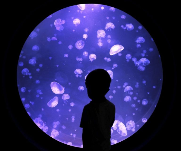 ¿Donas a otros países? ¿Tienes donantes no residentes en España?