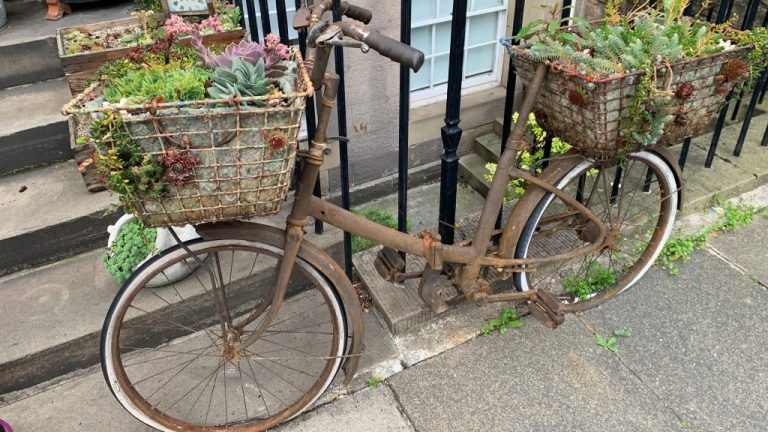 sostenibilidad en equipo