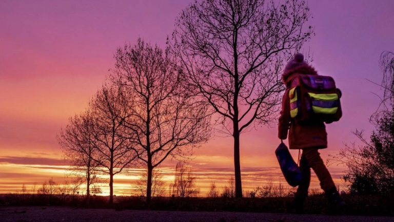 La actividad de Empresa&Sociedad durante 2019 en un video, una página y un informe