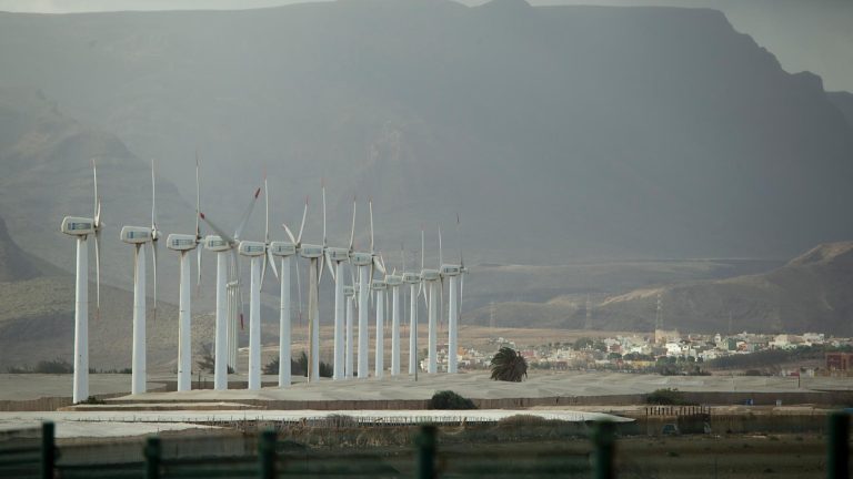 “Compras” ganará visibilidad en innovación por su alto impacto en la eficiencia en costes, operaciones y procesos