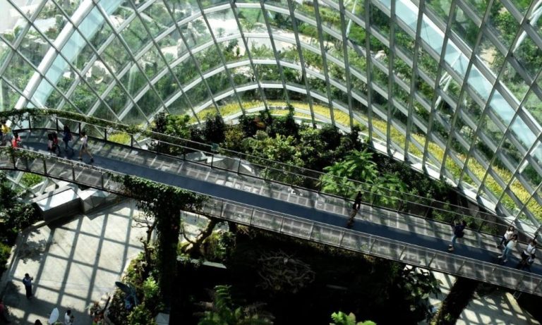 Indicadores de sostenibilidad empresarial que debes tener en tu empresa