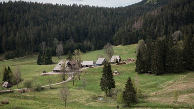 Soluciones digitales para una sostenibilidad innovadora en la empresa